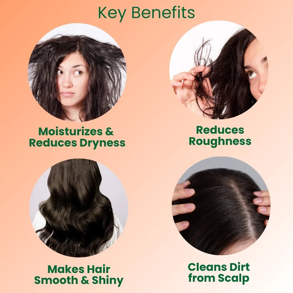 Hair Care Combo for Hair Dandruff