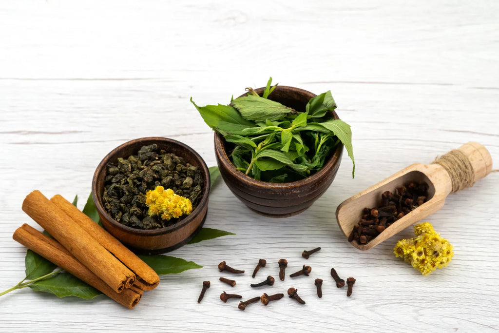 Ayurvedic Indian Herbs for Hair Growth and Thickness